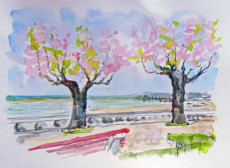 tamaris-sur-la-promenade-thiers-a-arcachon