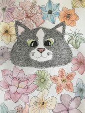 le-chat-fleuri