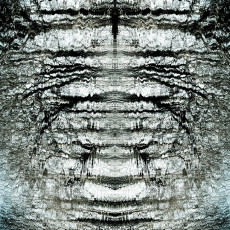 reflection-n014