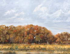 automne-orleanais