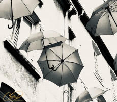 parapluies-in-love
