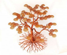 copper-tree