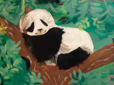 panda