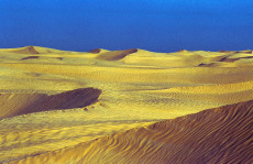 dune-dorees-du-sahara