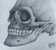 skull-and-me