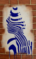 la-femme-zebre