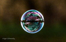 cristal-bubble-univers