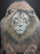 lion