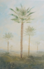 palmier-chanvre