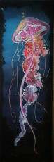 meduse