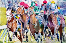 horse-racing