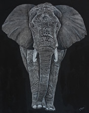elephant-dafrique-sur-toile-100-coton-340-gm2-peinture-originale-acrylique