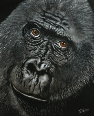 gorille-sur-toile-100-coton-340-gm2-peinture-originale-acrylique