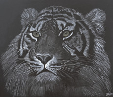 tigre-de-sumatra-sur-toile-100-coton-340-gm2-peinture-originale-acrylique