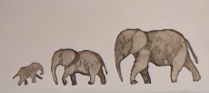 le-trio-des-elephants