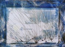 willows-in-winter-saules-dhiver