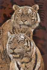les-deux-tigres