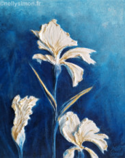 iris-blancs