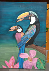 oiseaux-toucan