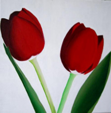 deux-tulipes