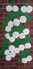 rosiers-blanc-1