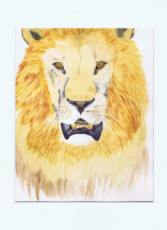 le-roi-enchantee-lion