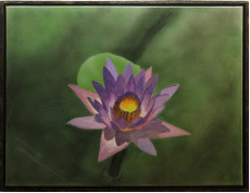 335-lotus