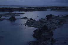 bord-de-mer-normandie