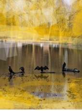 paysage-en-automne