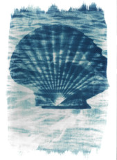 blue-shell