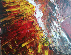fusion-equine-cheval-de-feu
