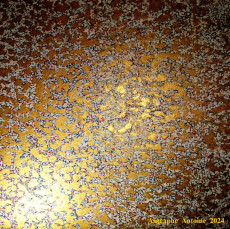 pointillisme-n2-tableau-sur-toile-de-coton