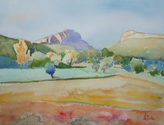 le-pic-saint-loup-et-lhortus