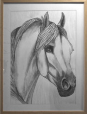 336-cheval-au-graphite-3330624