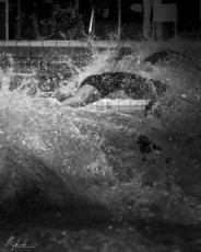 backstroke-swimmer-in-black-and-white-light