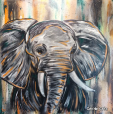 animal-elephant-dafrique-street-art
