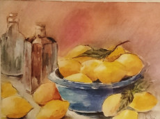 les-citrons-pastel-sec