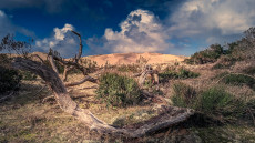 la-nature-a-letat-pure