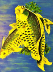 poissons-japonais