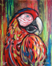 animal-perroquet-aras-street-art