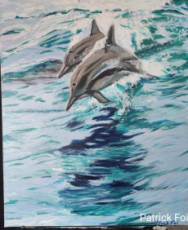 deux-dauphins-commun-de-mediterranee