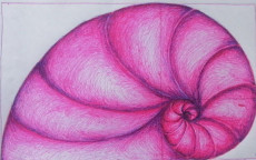 caracol