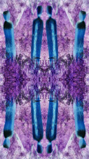 fotokunst-in-allen-farbenformen-und-motiven