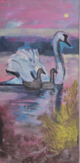 un-cygne-passe
