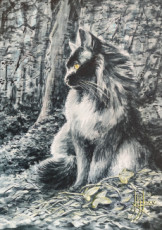 diabolo-des-bois
