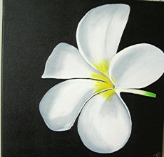 la-fleur-blanche