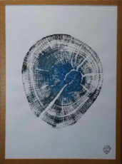 centre-bleu