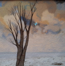 songe-181
