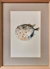 fugu