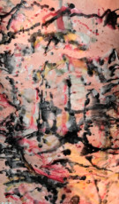 s555